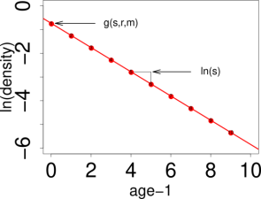 Illustration of the linear model